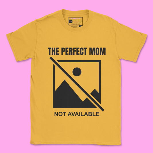 The Perfect Mom